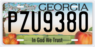 GA license plate PZU9380