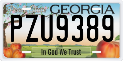 GA license plate PZU9389