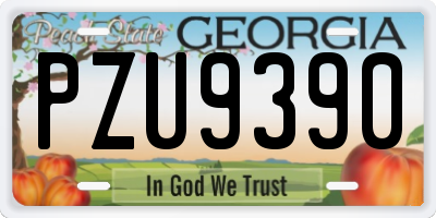 GA license plate PZU9390