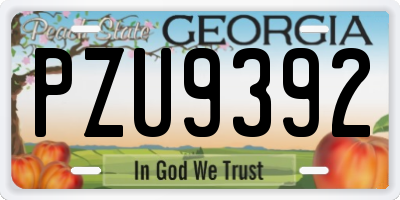 GA license plate PZU9392