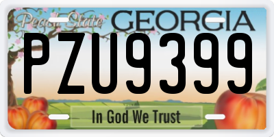 GA license plate PZU9399