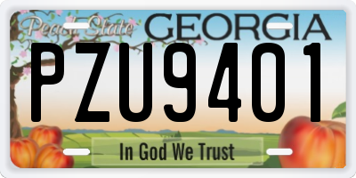 GA license plate PZU9401