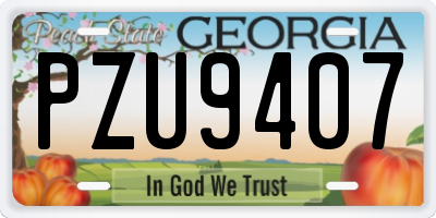 GA license plate PZU9407