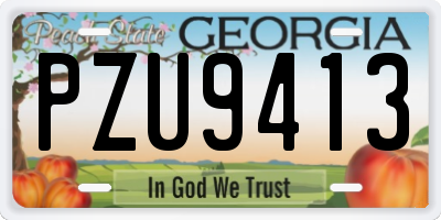 GA license plate PZU9413