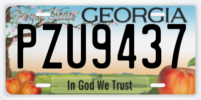 GA license plate PZU9437