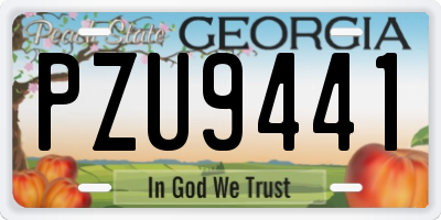 GA license plate PZU9441