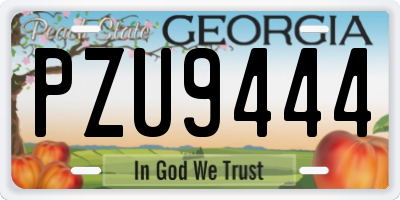 GA license plate PZU9444