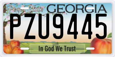 GA license plate PZU9445