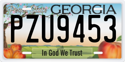 GA license plate PZU9453