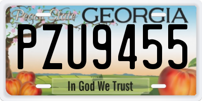GA license plate PZU9455