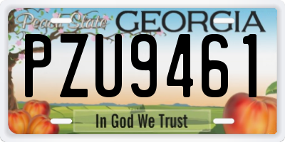 GA license plate PZU9461