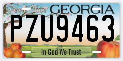 GA license plate PZU9463