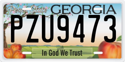 GA license plate PZU9473