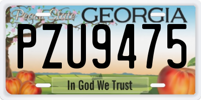 GA license plate PZU9475