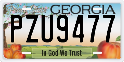 GA license plate PZU9477