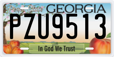GA license plate PZU9513