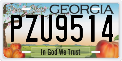 GA license plate PZU9514