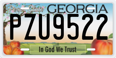 GA license plate PZU9522
