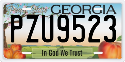 GA license plate PZU9523