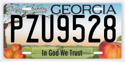 GA license plate PZU9528