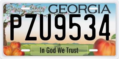 GA license plate PZU9534