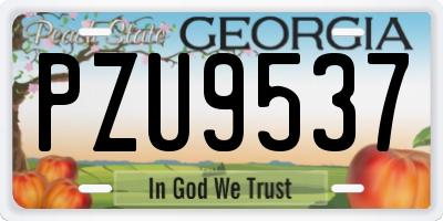 GA license plate PZU9537