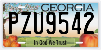 GA license plate PZU9542