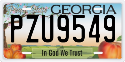 GA license plate PZU9549