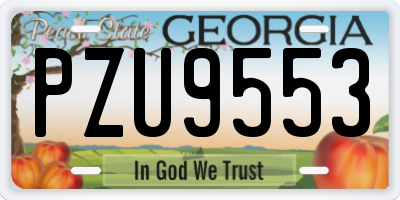 GA license plate PZU9553