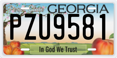 GA license plate PZU9581