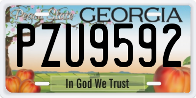 GA license plate PZU9592
