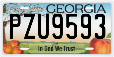 GA license plate PZU9593