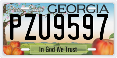 GA license plate PZU9597