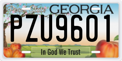 GA license plate PZU9601