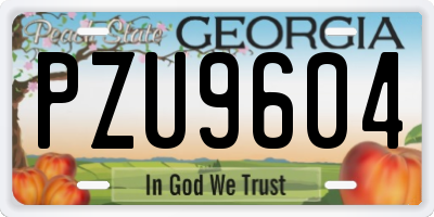 GA license plate PZU9604