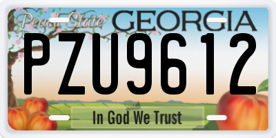 GA license plate PZU9612