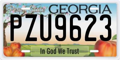 GA license plate PZU9623