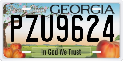 GA license plate PZU9624