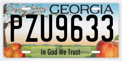GA license plate PZU9633