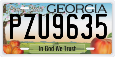 GA license plate PZU9635