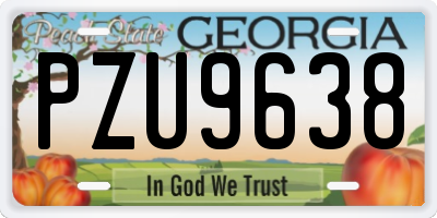 GA license plate PZU9638