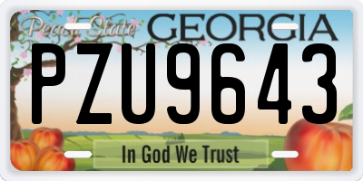 GA license plate PZU9643