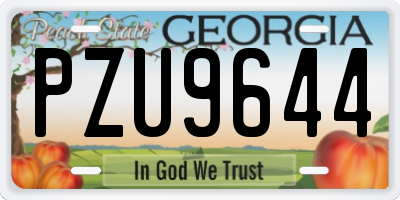 GA license plate PZU9644