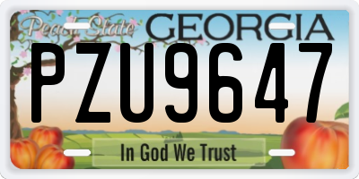 GA license plate PZU9647