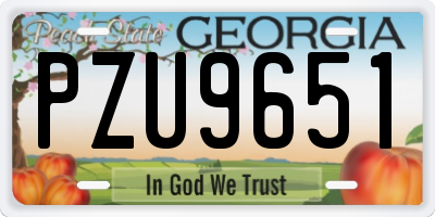 GA license plate PZU9651