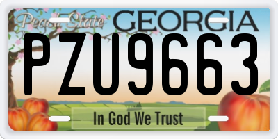 GA license plate PZU9663