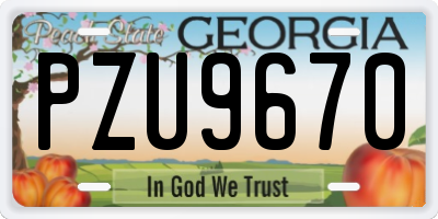 GA license plate PZU9670