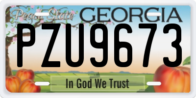GA license plate PZU9673