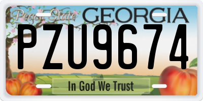 GA license plate PZU9674