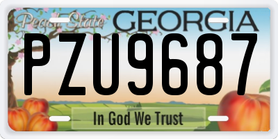 GA license plate PZU9687